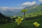 13 Salgo in direttissima la pista di sci da Quarta Baita al Montebello-Terrazza Salomon